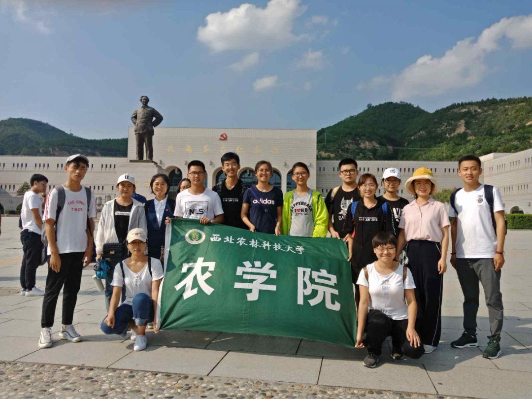 外地车牌去大连限号吗-专业的有问必答平台
